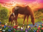 Chevaux Dans Le Pré