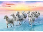 Galloping White Horses